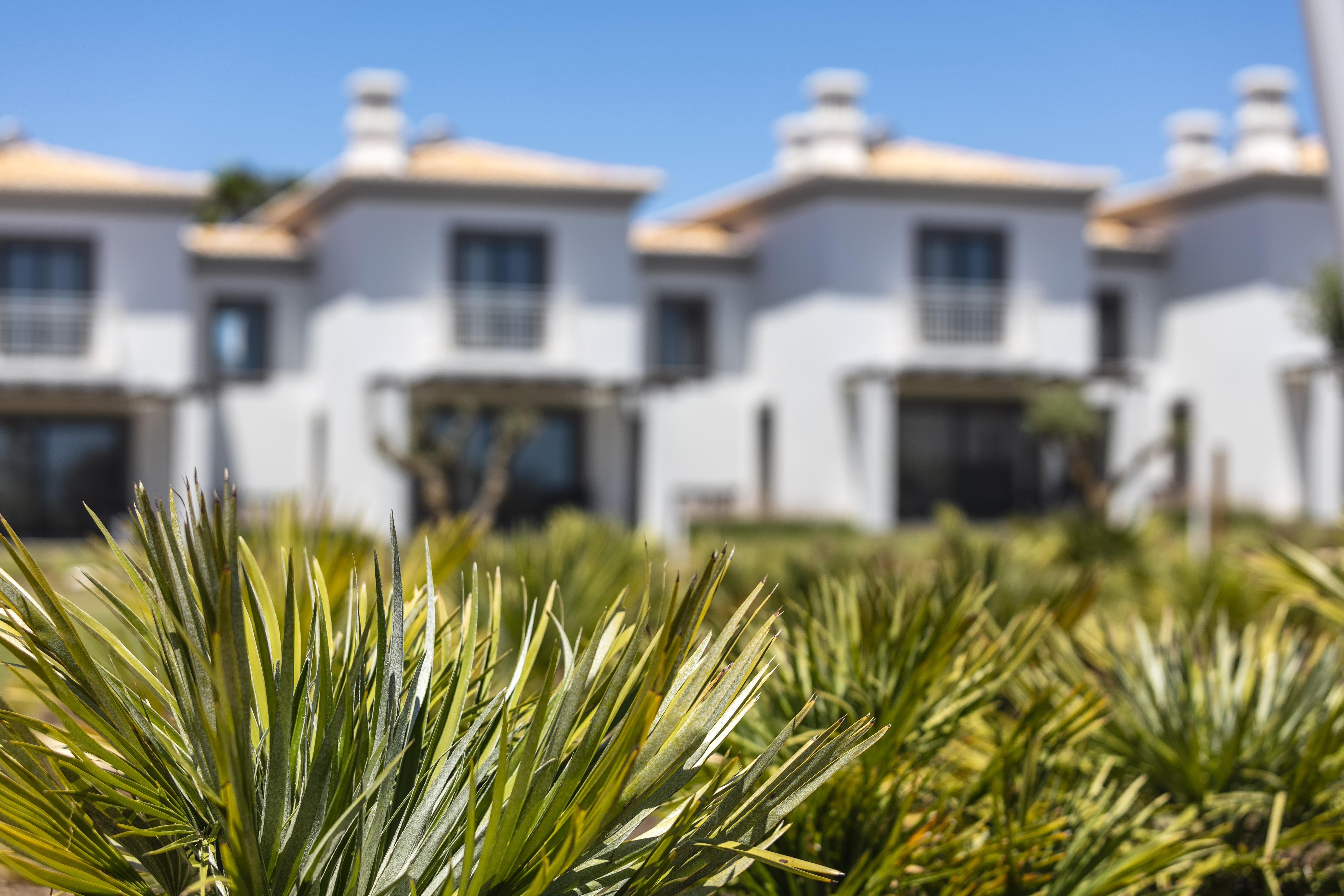 Quinta do Algarvio Village Carvoeiro  Esterno foto